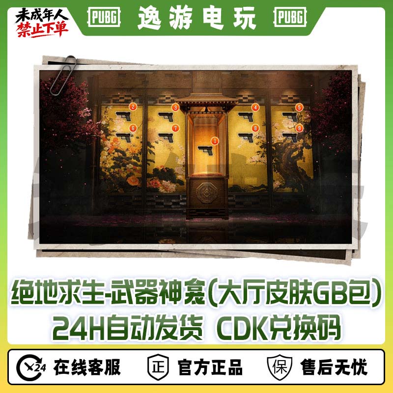 PUBG绝地求生武器神龛自定义大厅皮肤大厅背景兑换码CDK【gb包】