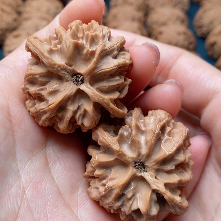 文玩核桃把件我*哥42苹果园