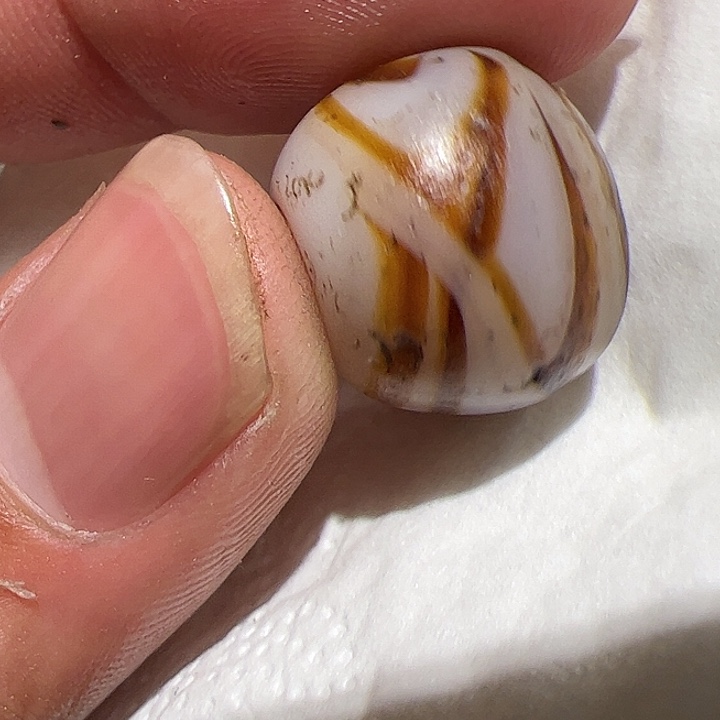 香榧木你的时候我