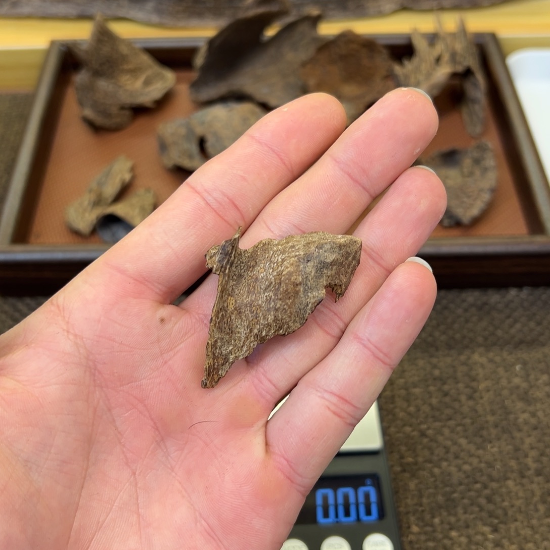 D***s香港天然老壳子2.3g