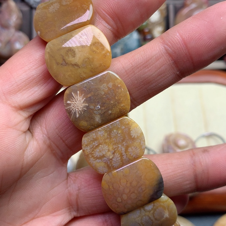 硅化珊瑚（珊瑚玉）颈饰未镶嵌