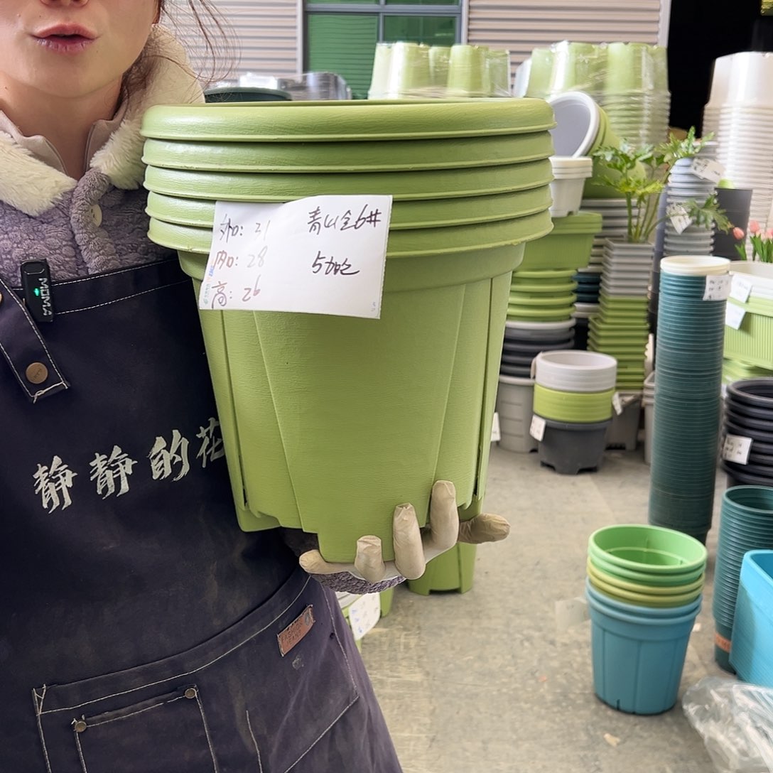 青山盆6#果绿5个无托