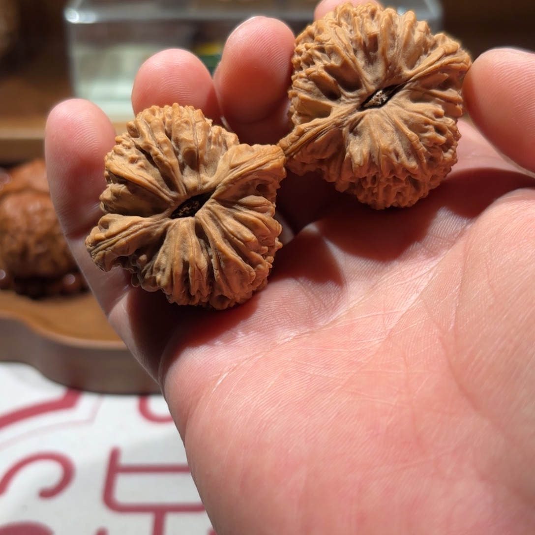 执***笔正杨系列-正杨南疆