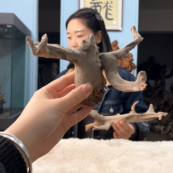 柏木风*你我们都是好孩子