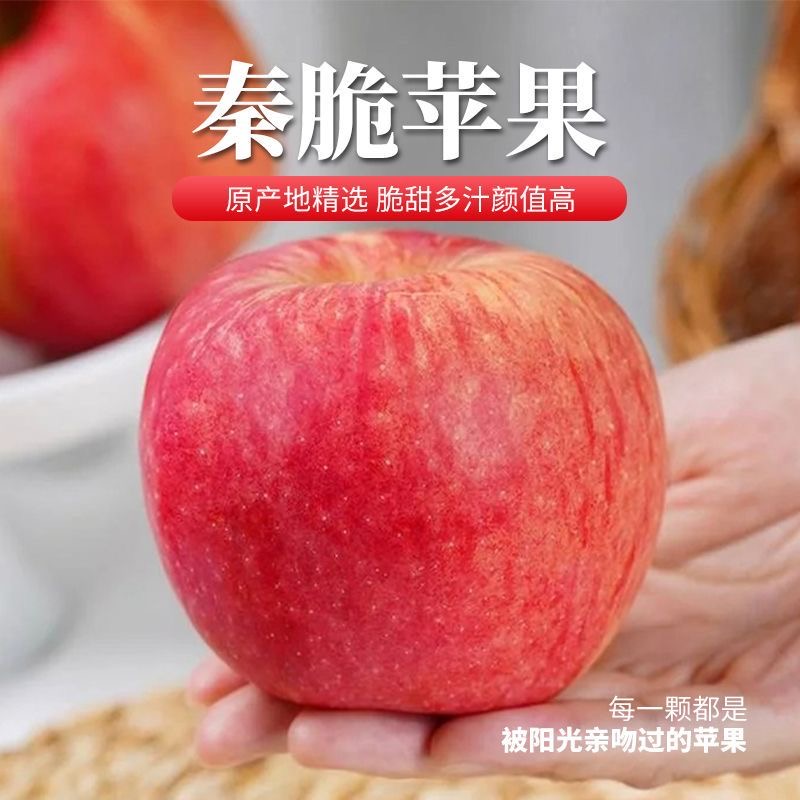 2025年正宗甘肃平凉秦脆苹果高端应季新鲜甜中带点微酸水果