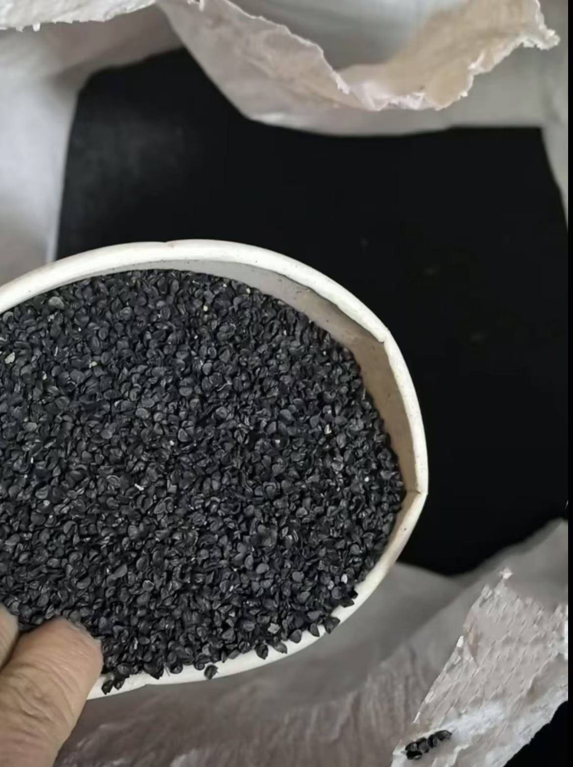 【章丘大梧桐 葱种】 梧桐葱种