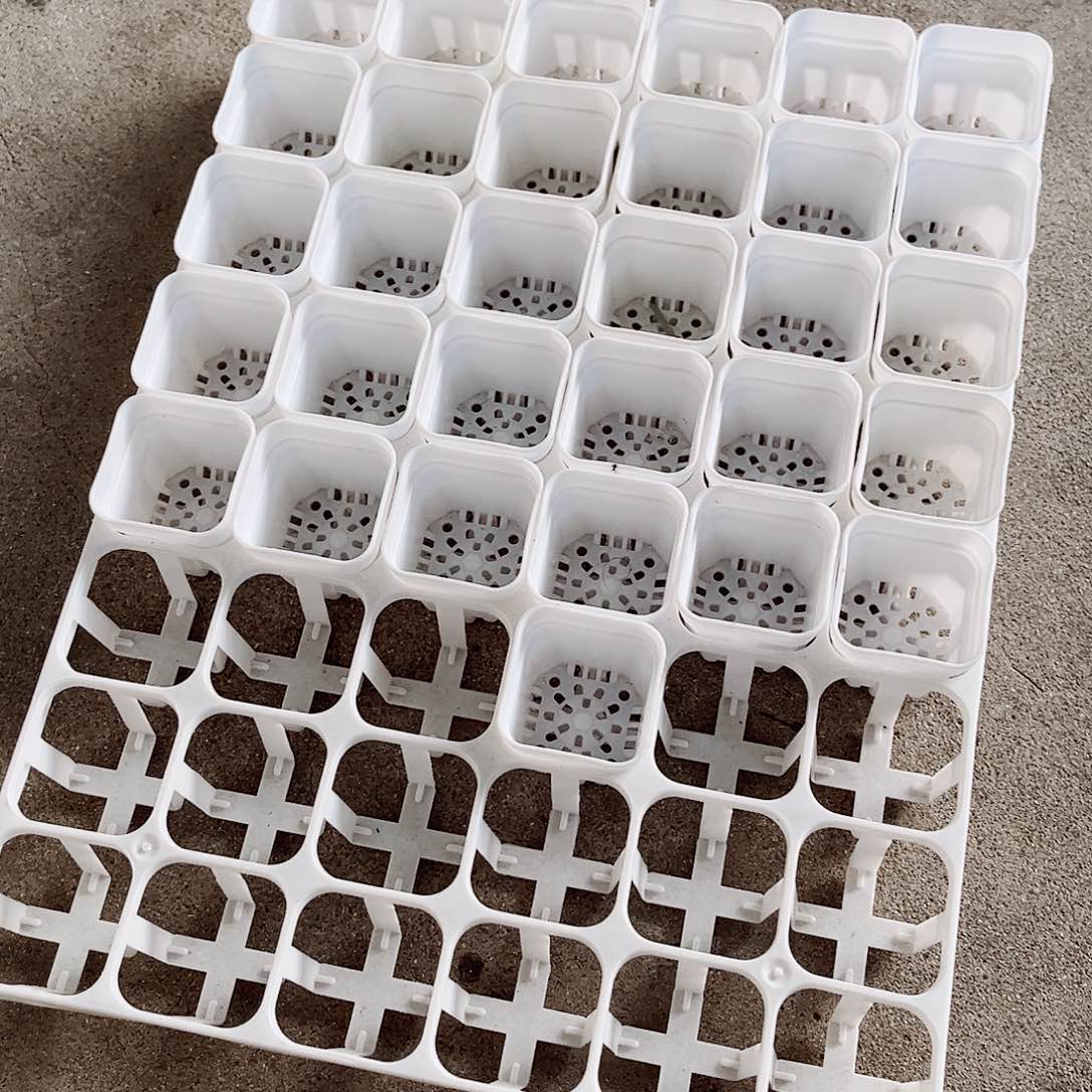 树脂福利款4厘米白方盆48个带拖架