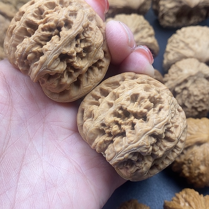 吊坠龙脊菩提粗筋48
