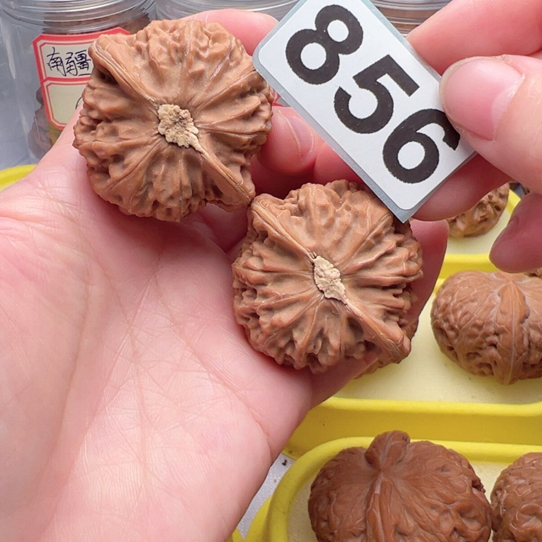 文玩核桃把件?****菜文玩856