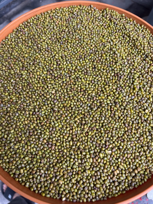 农家特产 绿豆500克