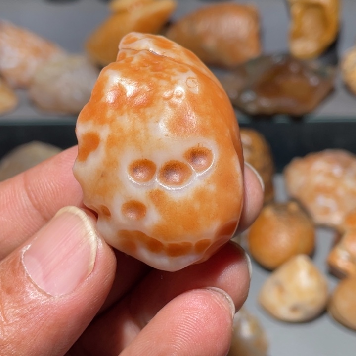 博***哥石材阿拉善沙漠奇石