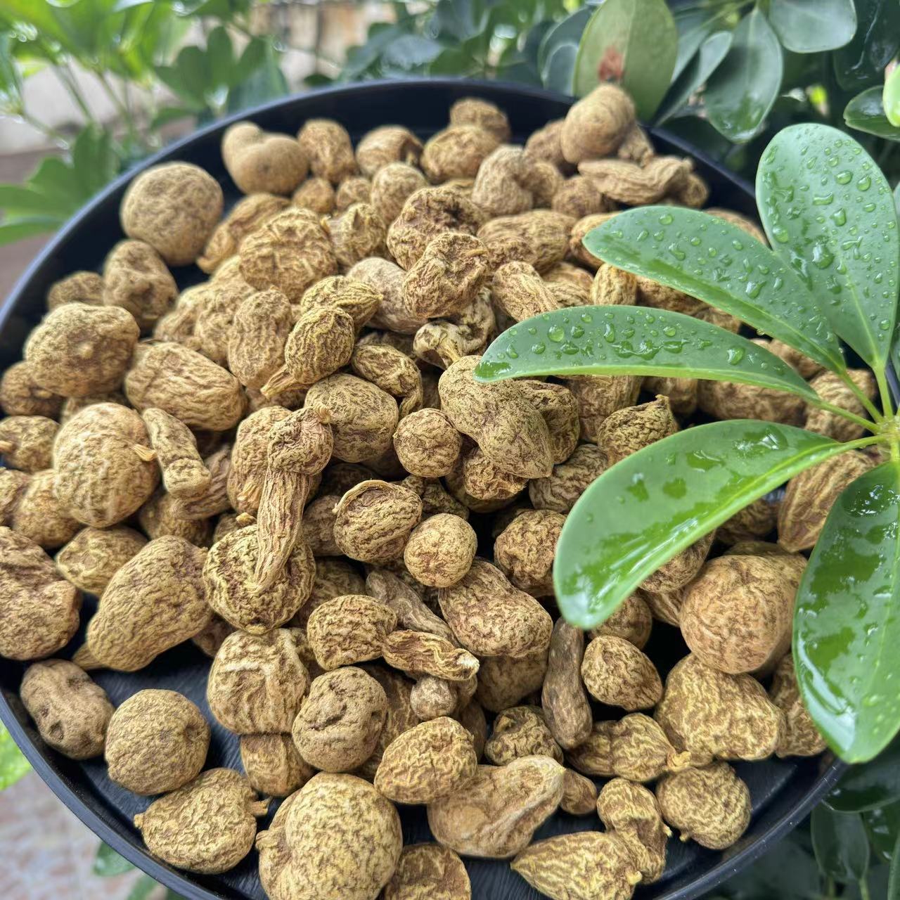 小雪鎮选好货 凤-煌-丹 100-1000克