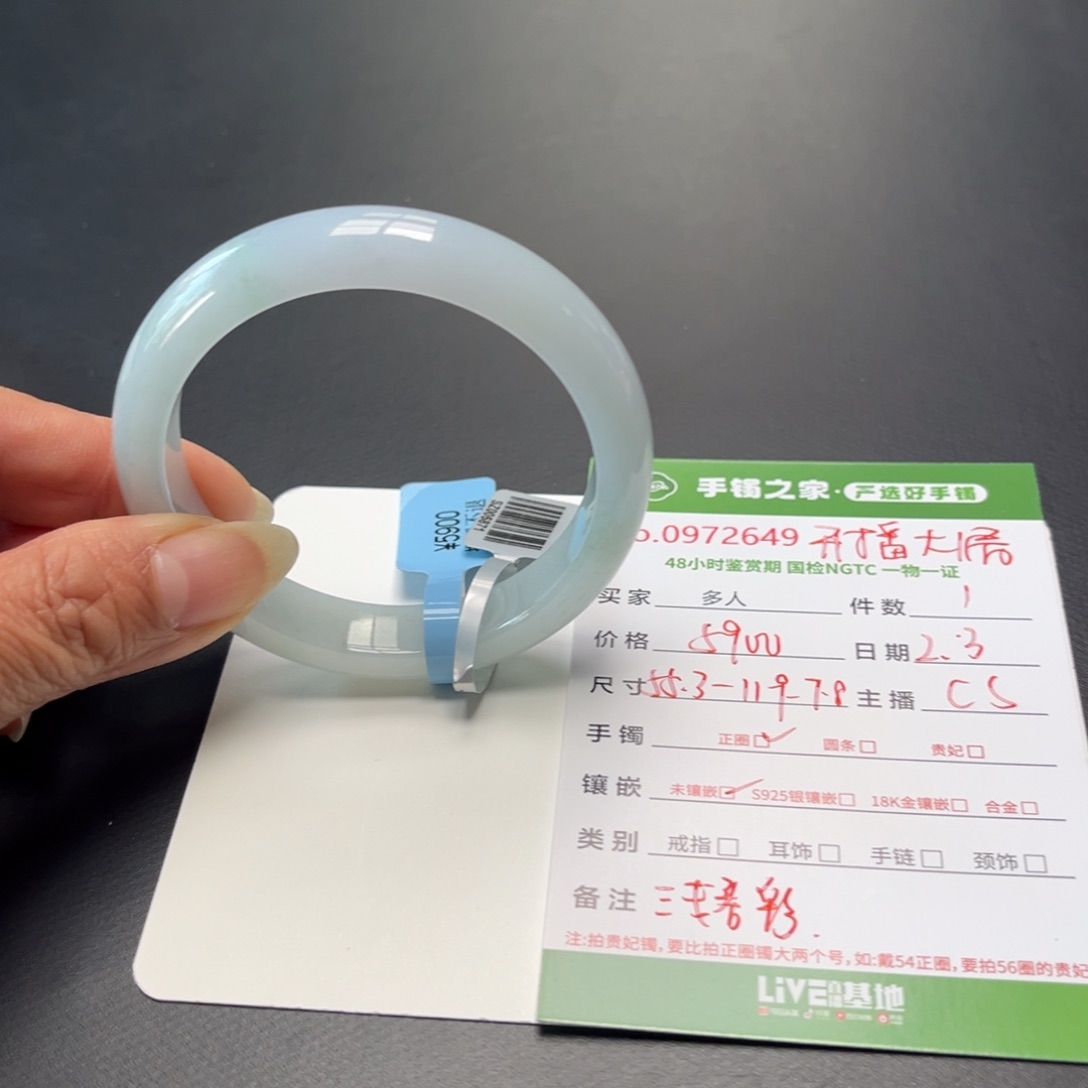 翡翠手镯未镶嵌多人