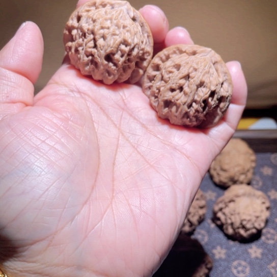 文玩核桃吊坠40白狮子