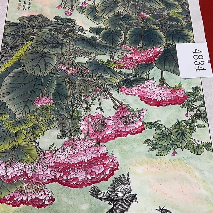 横款新号开播时间更新至