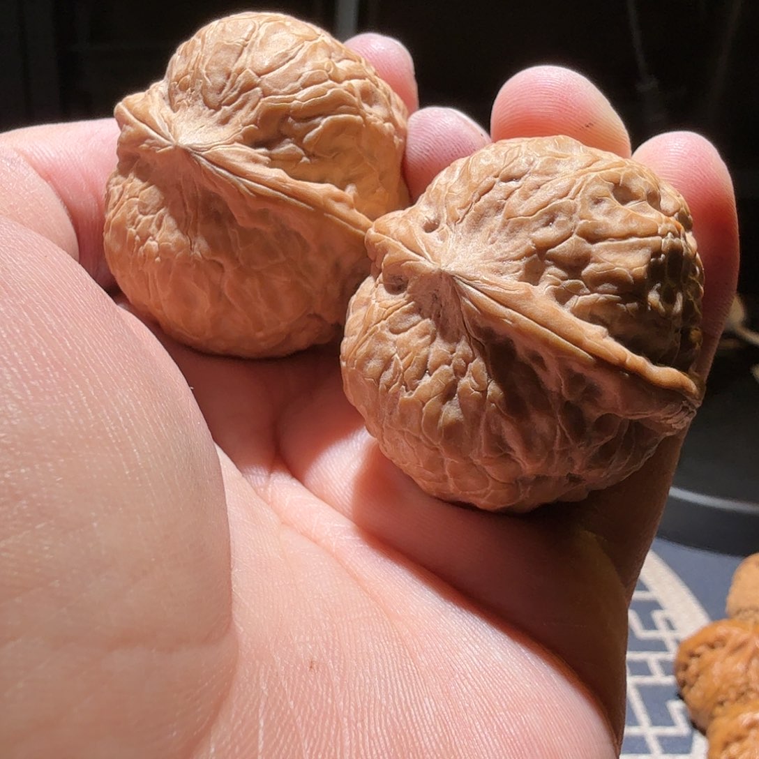 文玩核桃把件雷*子赑屃