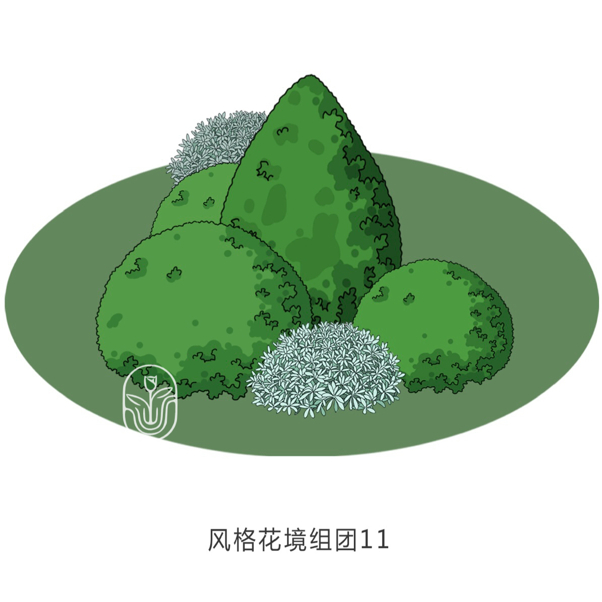 球球花境植物搭配组合好养护
