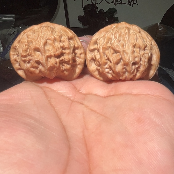 木44精品红灯。      