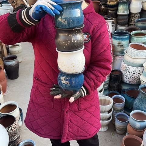 14口14高瑕疵颜色随机四个。 