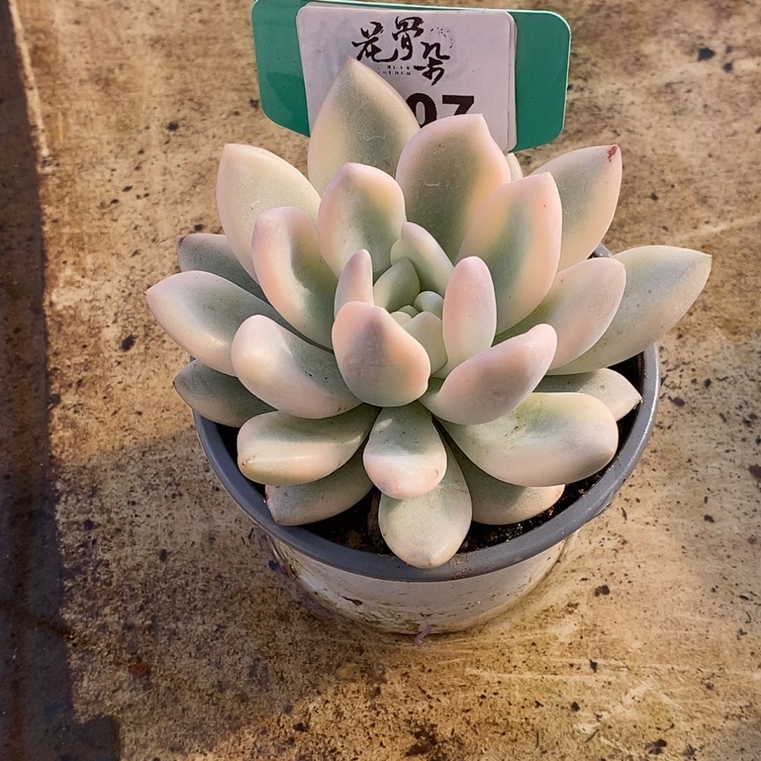 407哈哈哈哈哈哈哈哈