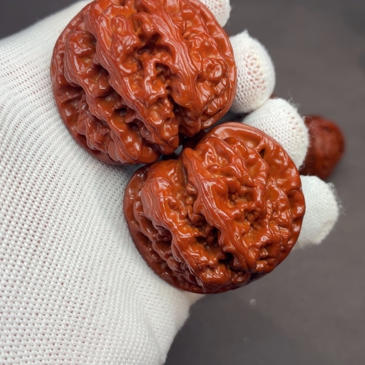 木质大粗筋04. WY#00#