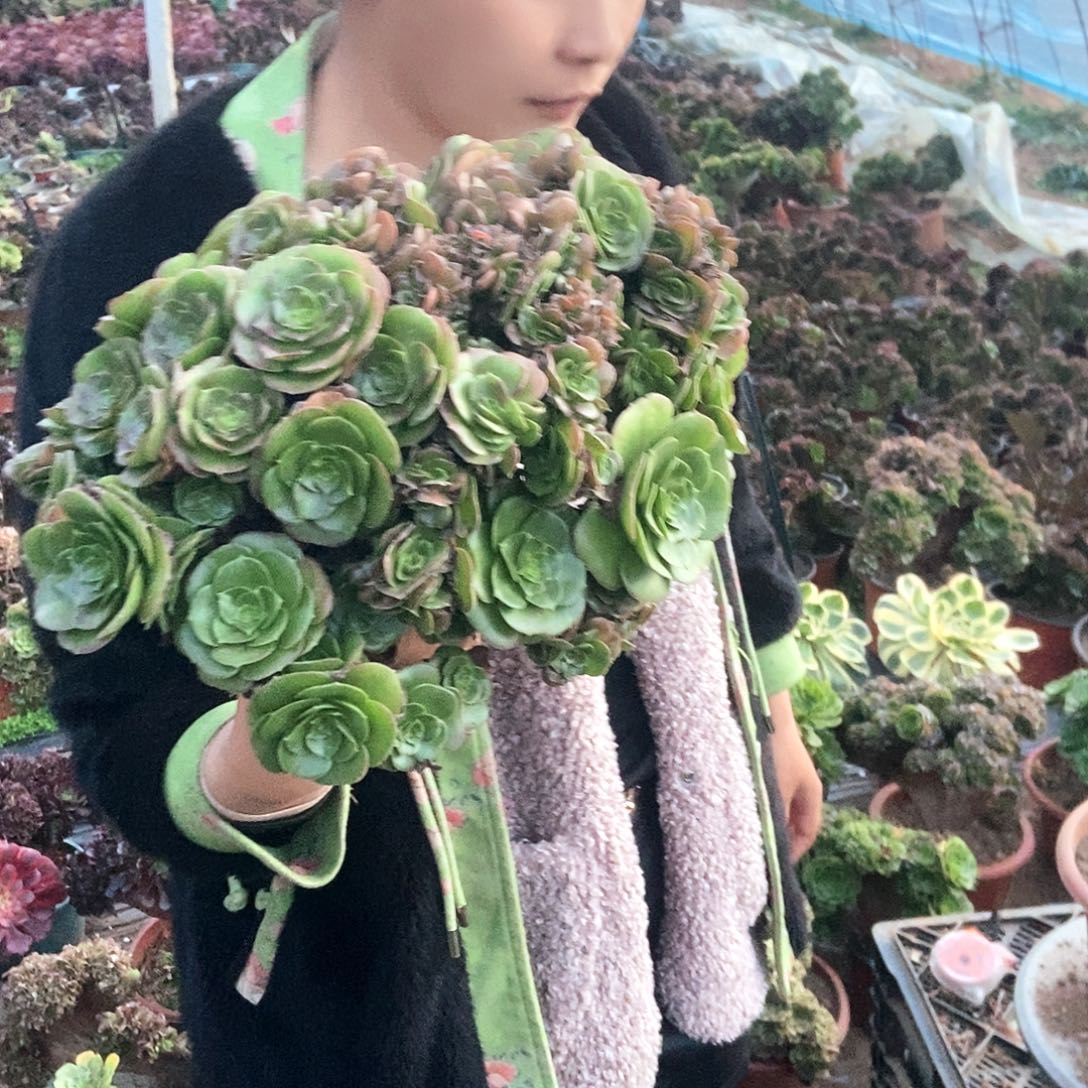 ****࿐完全开放b175万圣节