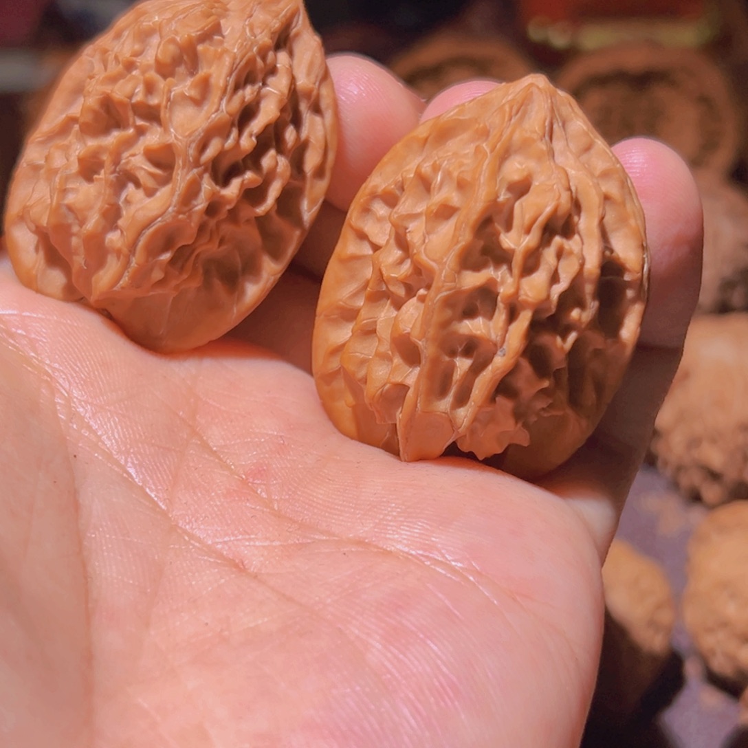 文***客瑞麟文玩核桃剑齿虎