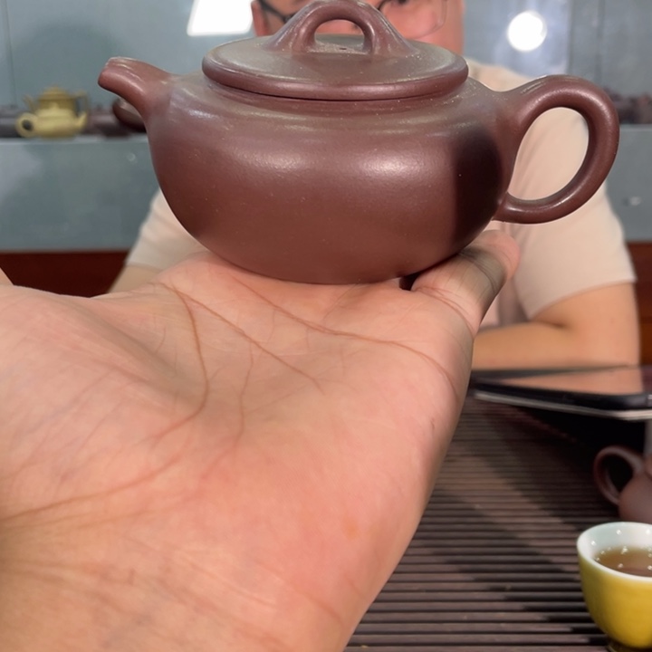 茶壶紫砂哈哈哈哈哈这个综艺节目真的是太好