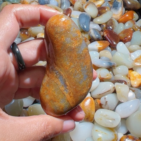 和田玉（糖玉）手链未镶嵌30