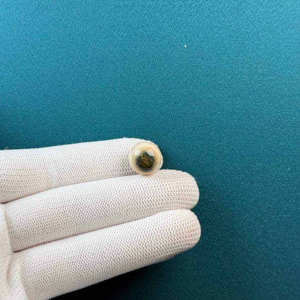D34-20天然猛犸牙 精品蓝眼睛圆珠12mm支持复检假一罚十