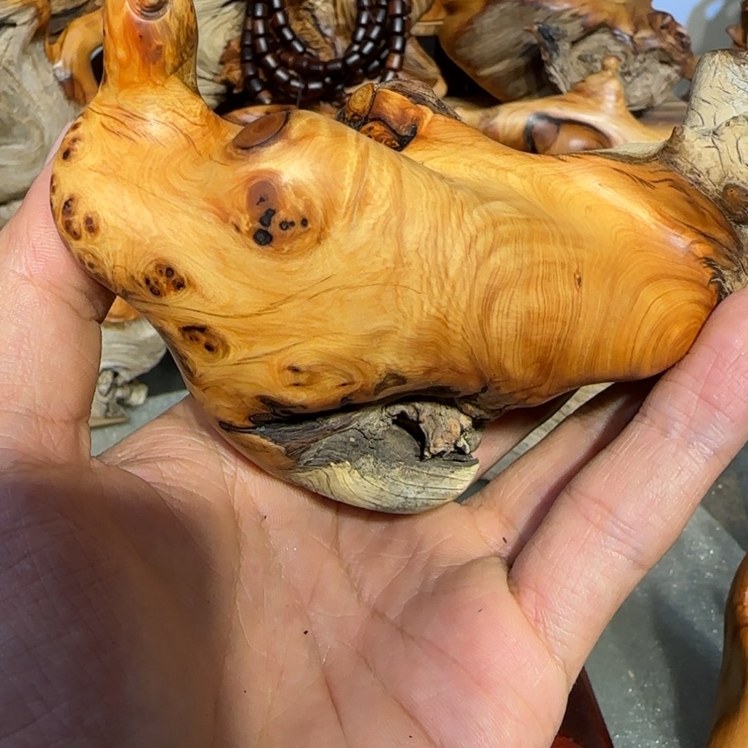 木***螺柏木太行崖柏88888