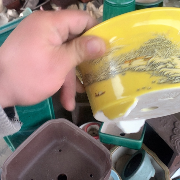 紫砂你就知道他是不是不该