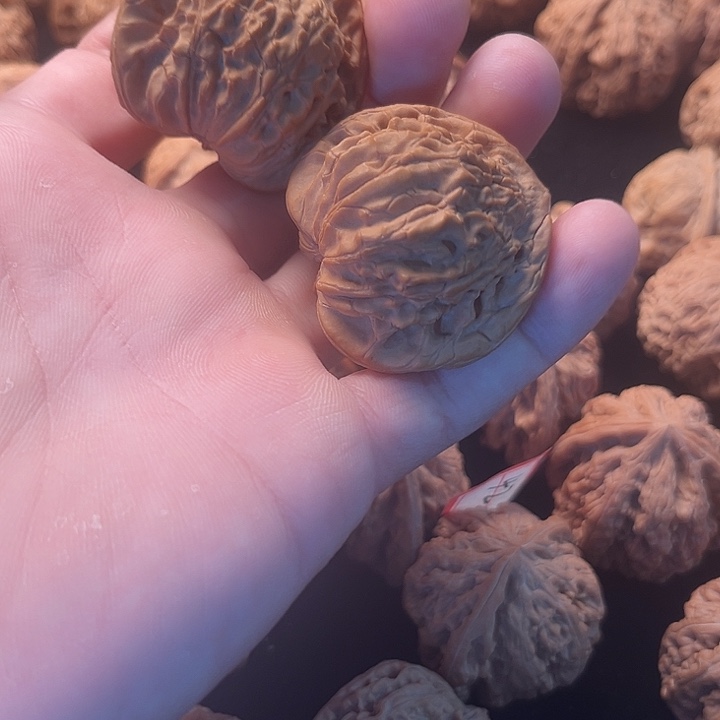 球***丶文玩核桃把件核桃