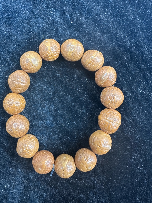 【不带盒发货】尼泊尔凤眼菩提（13-15m）8304