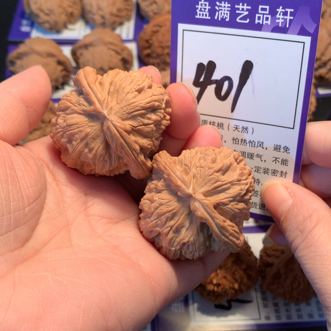 核桃401白狮子4.3全品
