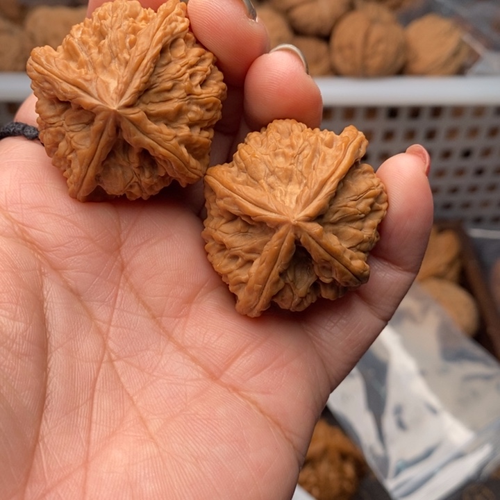 文玩核桃把件野生四棱41尺核桃