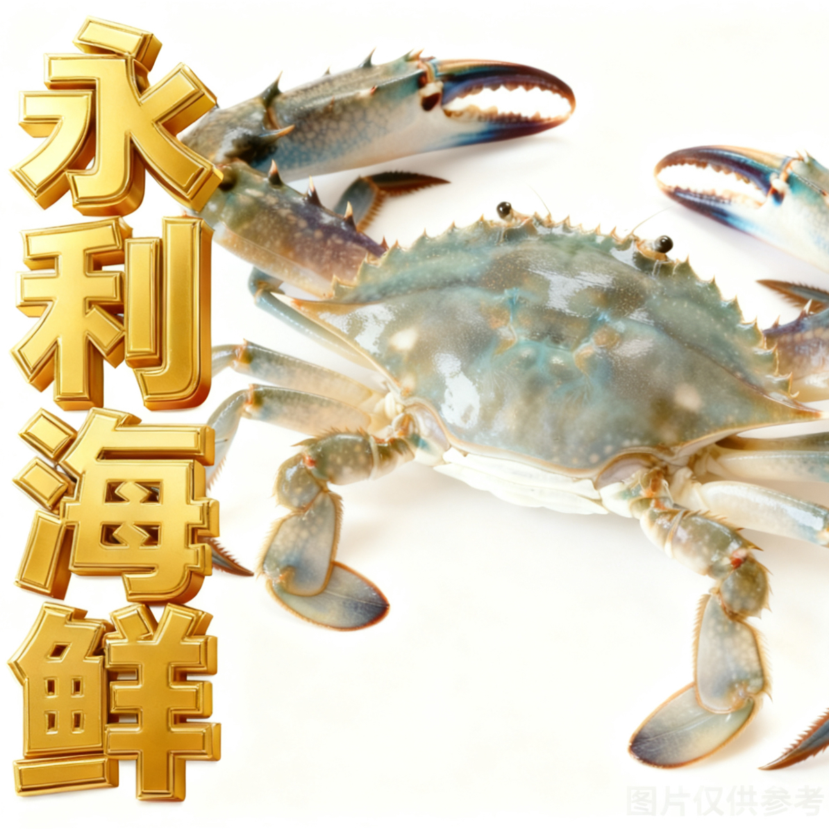 鲜活梭子蟹（母蟹）250克-350克一只