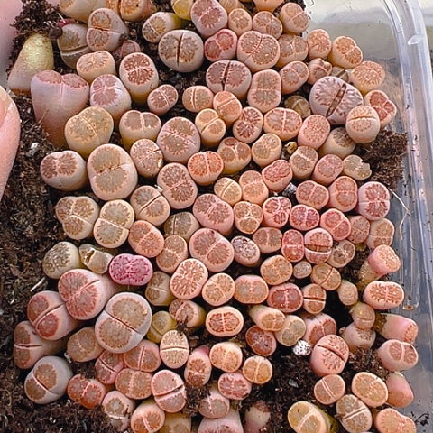 24392哈哈哈哈哈哈哈