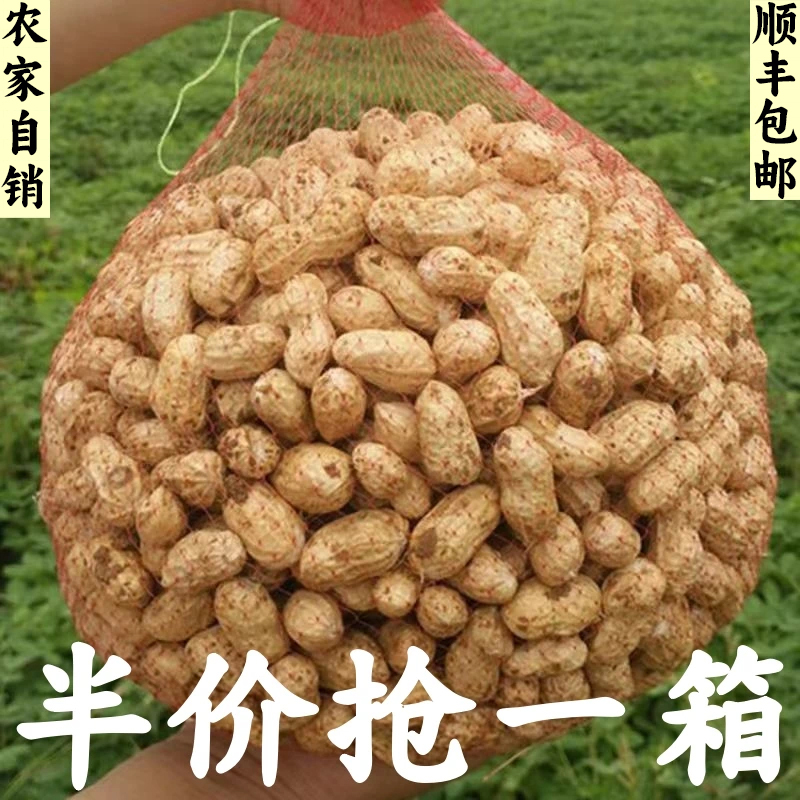 【顺丰包邮】2025年新鲜花生现摘带壳鲜花生带泥湿生花生现挖现卖发