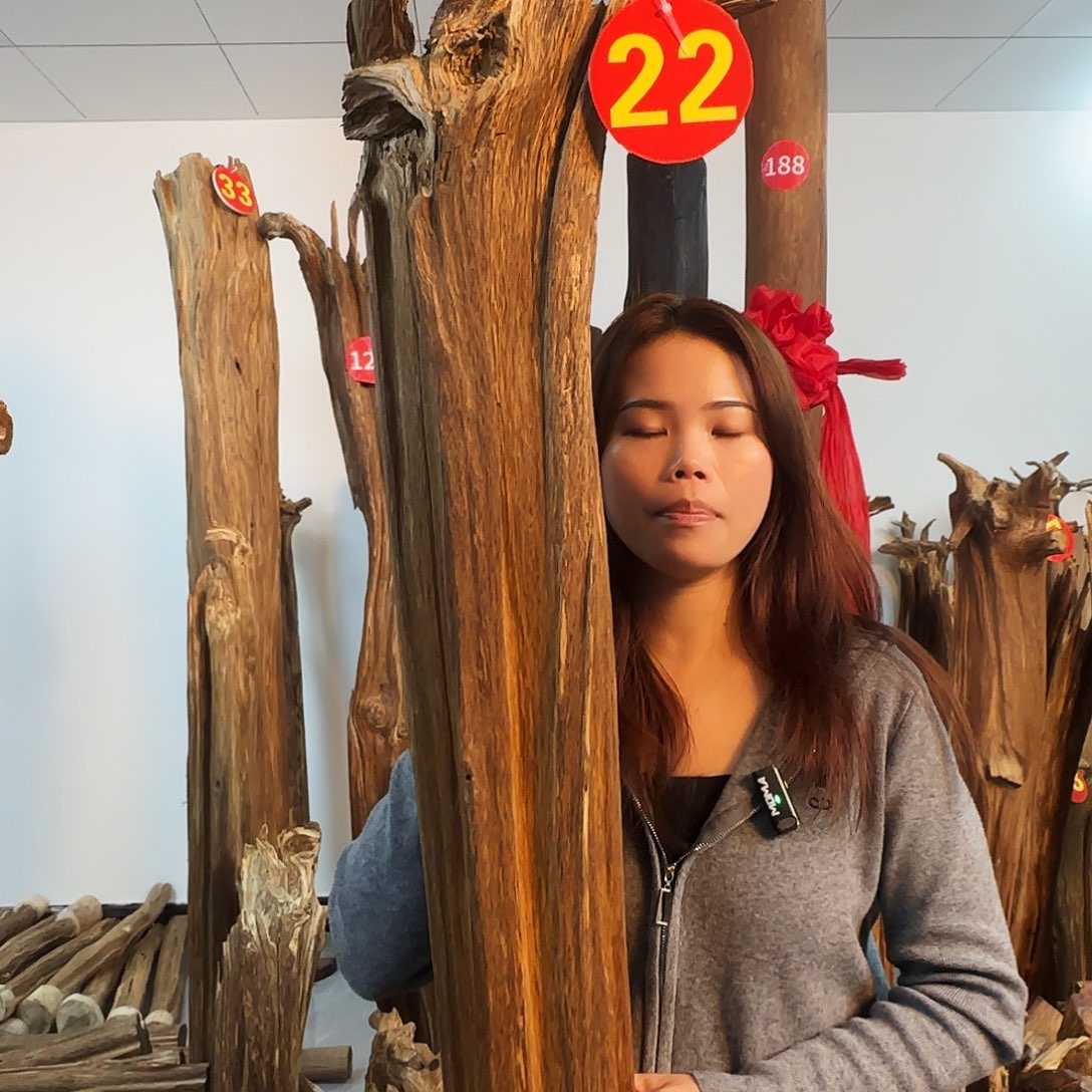 沉香摆件天然沉香原木摆件➕底座