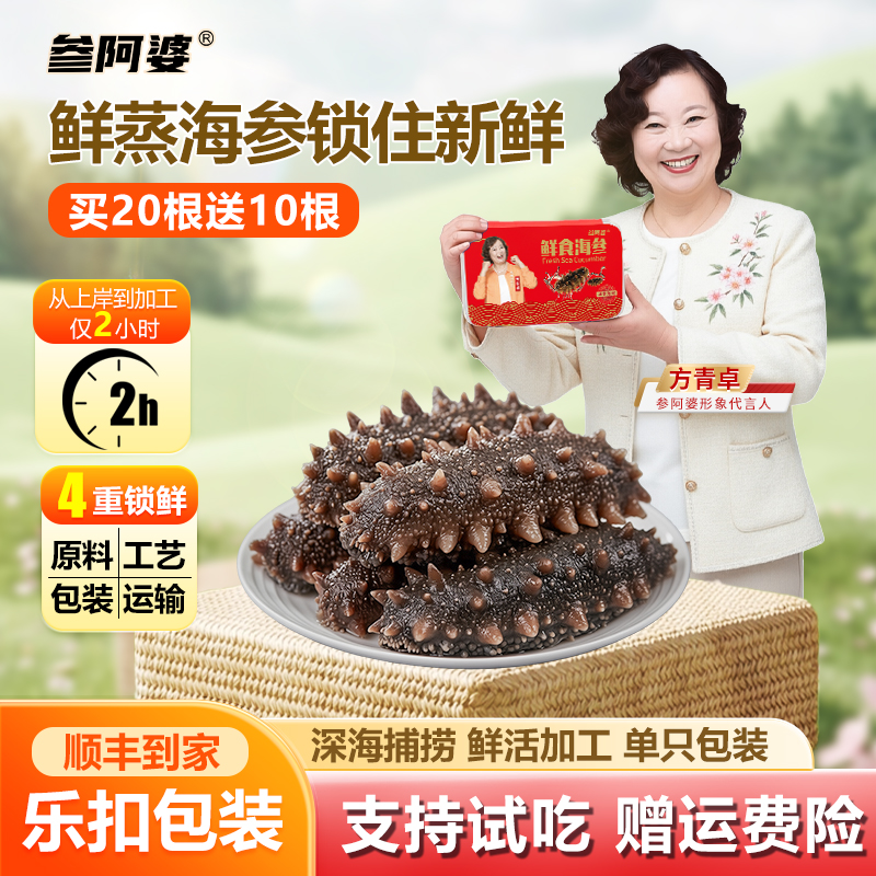 海参【官方补贴】参阿婆大号鲜蒸海参20头送10头新鲜非水发可配礼盒商品图