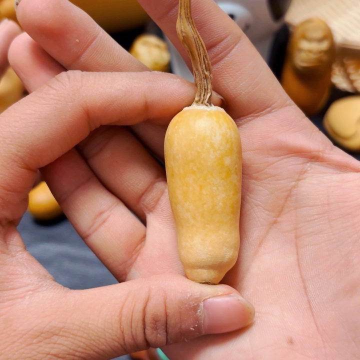 金***中98888888888888888888