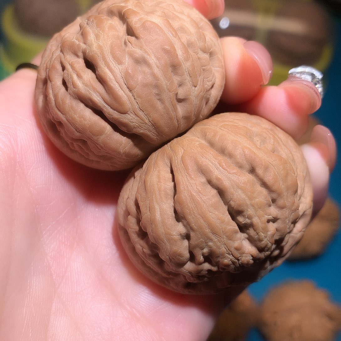 文玩核桃把件42全品闷尖霸王龙