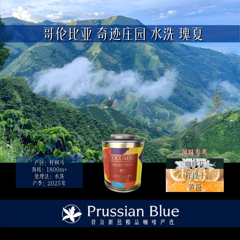 <奇迹瑰夏>哥伦比亚.奇迹庄园.水洗.瑰夏.精品咖啡豆