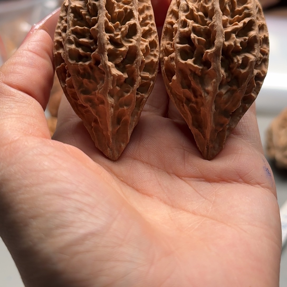 文玩核桃把件关东木子楸百核105