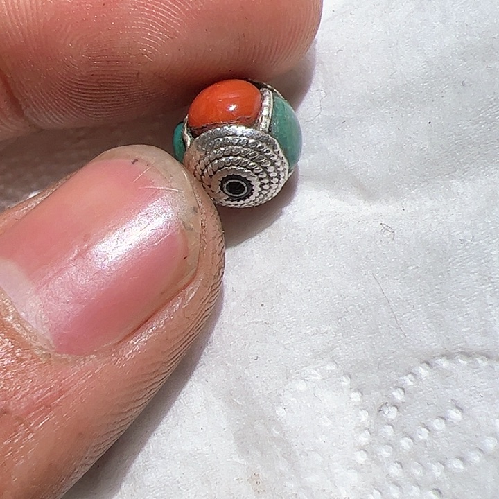 香榧木在家了一个小时