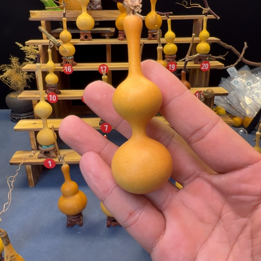 阿***强葫芦头的做法是用来