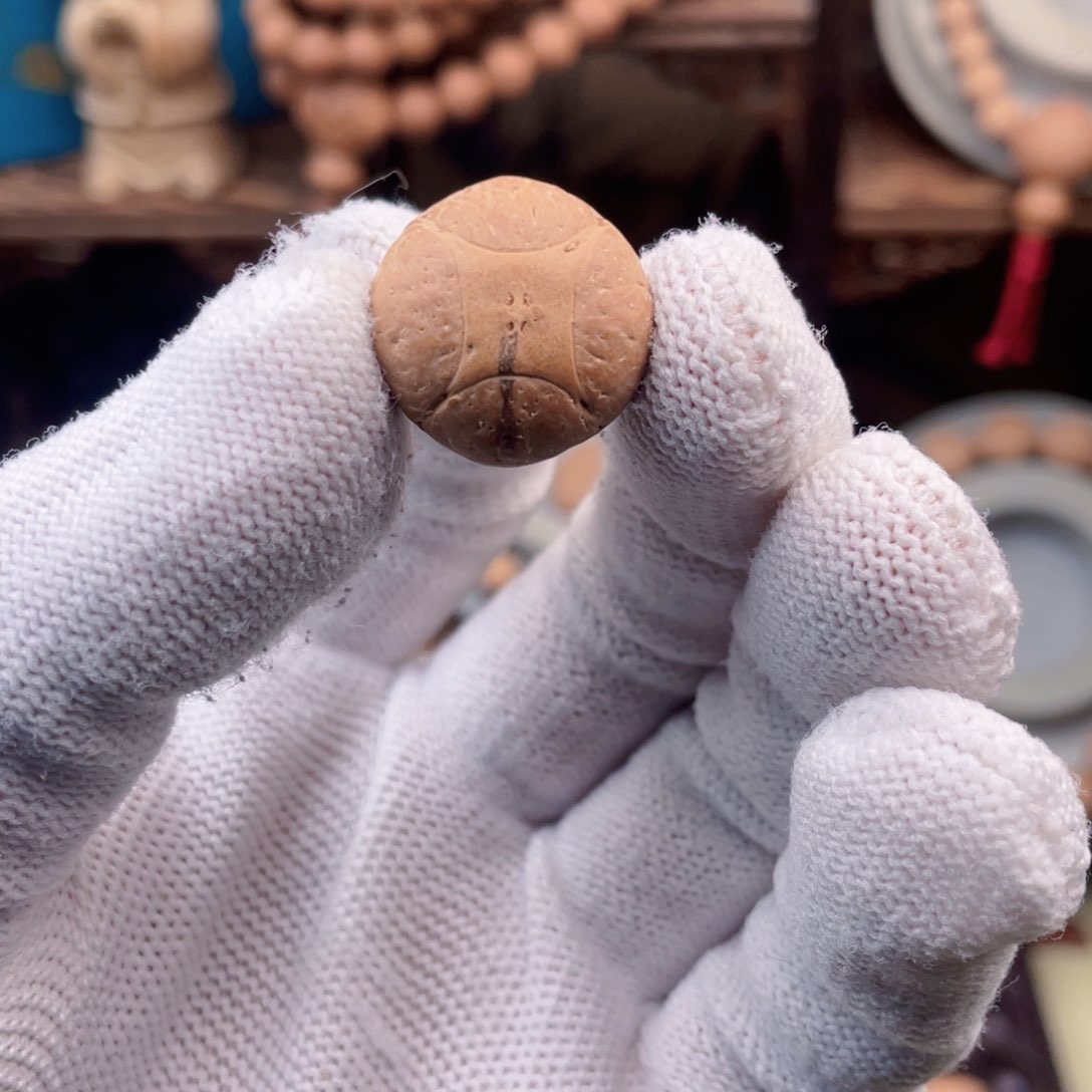 吊坠凤眼菩提釔*麒麟