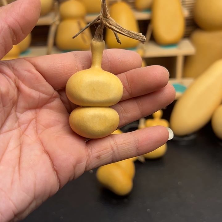 魔*葫芦葫芦葫芦葫芦葫芦葫芦