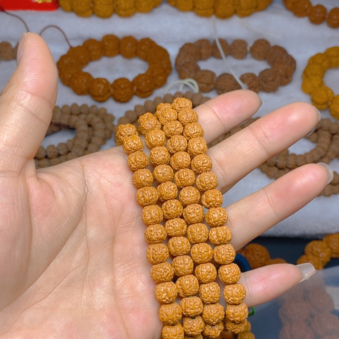 手串金刚菩提释*   06